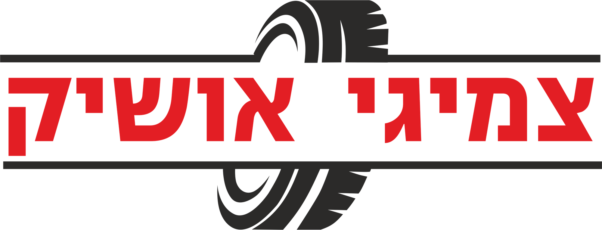 צמיגי אושיק